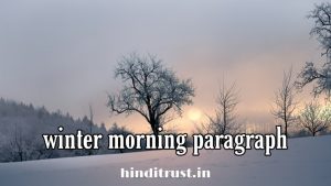 Winter Morning Paragraph in Bengali