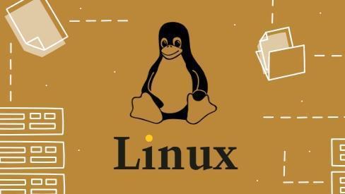 লিনাক্স হোস্টিং কি - Linux vs Windows Hosting
