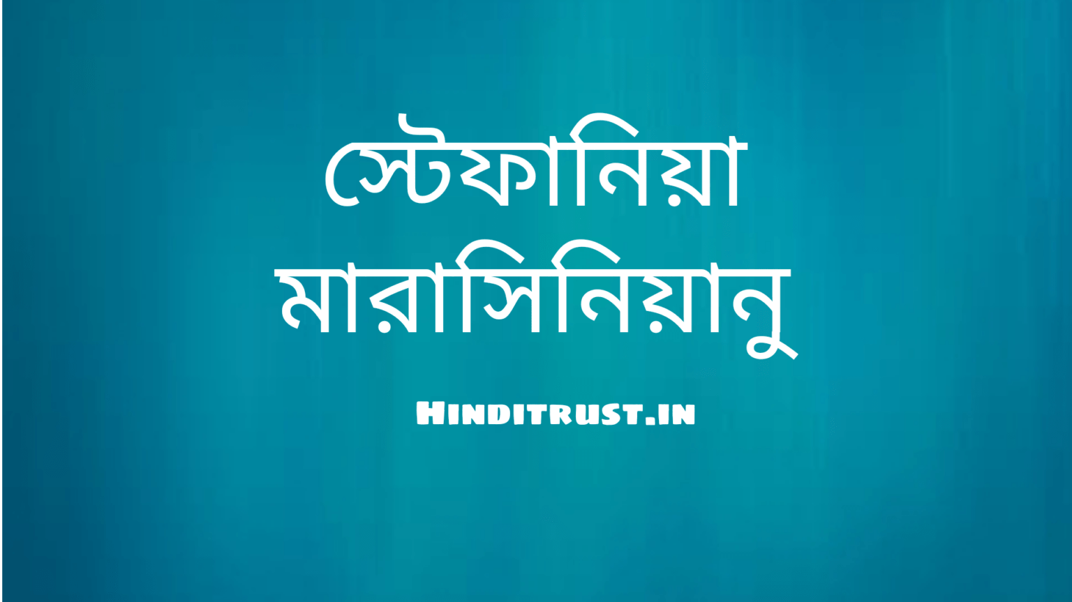 স্টেফানিয়া মারাসিনিয়ানু | Stefania Maracineanu কে ছিলেন?