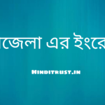 উপজেলা ইংরেজি কি?