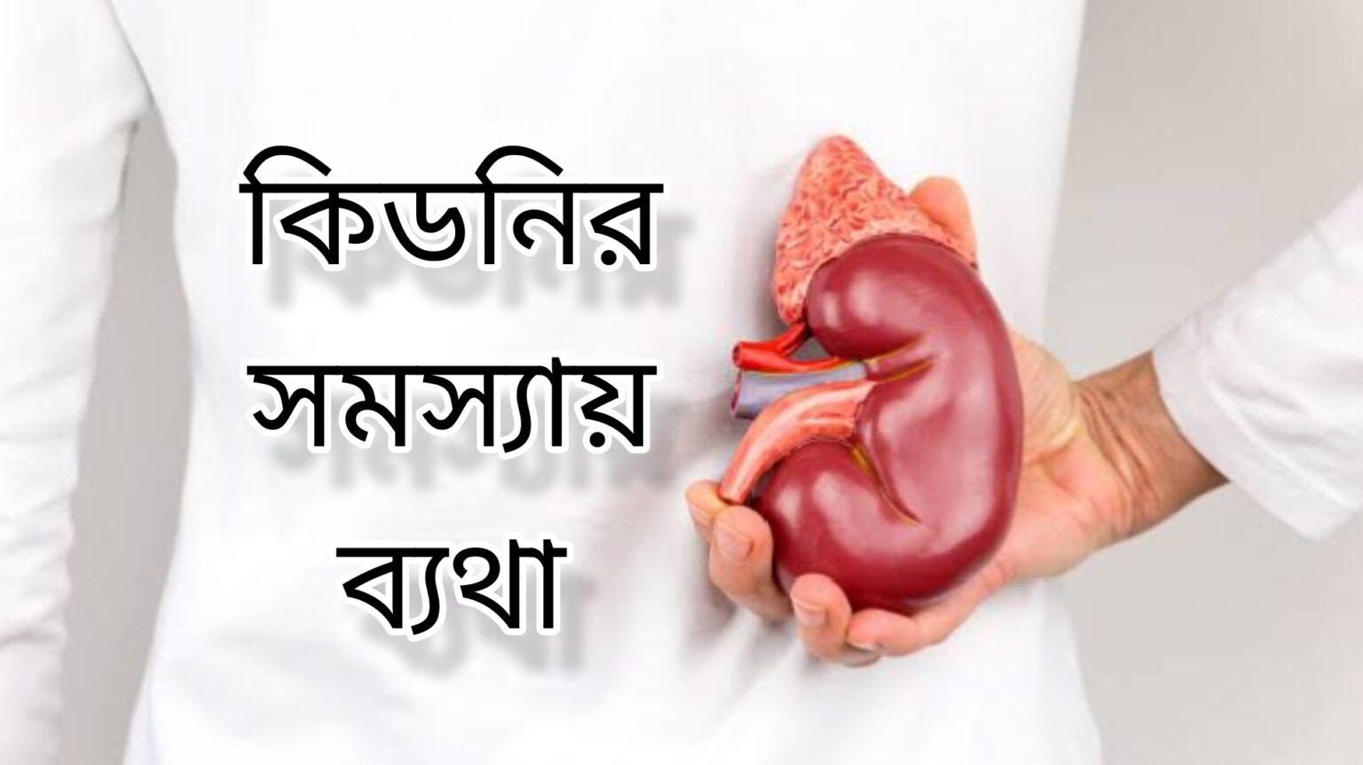 কিডনির সমস্যা হলে কোথায় কোথায় ব্যথা হয়?